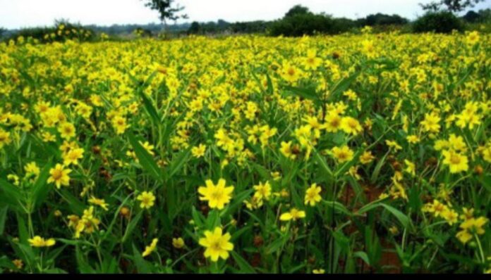 ec4c2cd1-0ae4-49e4-a573-1968ab72292b