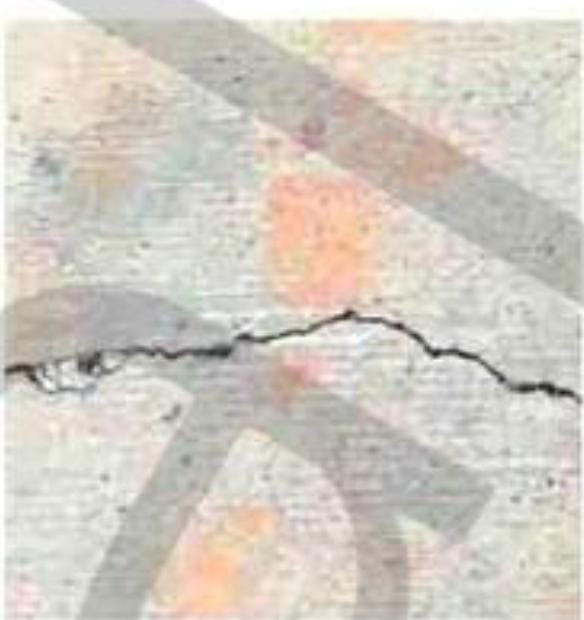 f680dc5b-32cf-4834-a8ea-fafbd2fa0388