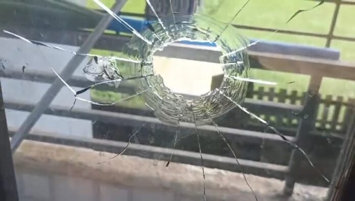 image_editor_output_image2381442