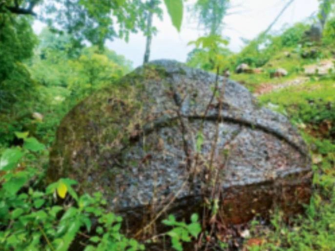 096ca0e4a2e5795695cfc444c300d3f5