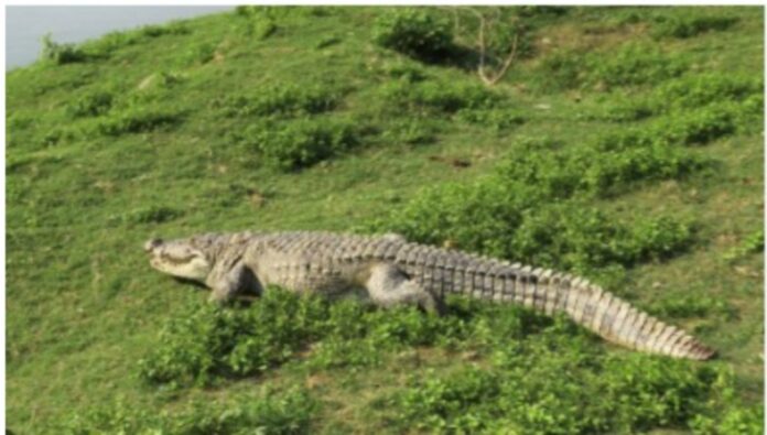 0ede2bc2-2b07-42e2-add5-d1ab140e389c