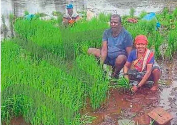 19c4ce2b-6641-4154-b464-af27cbcd7534