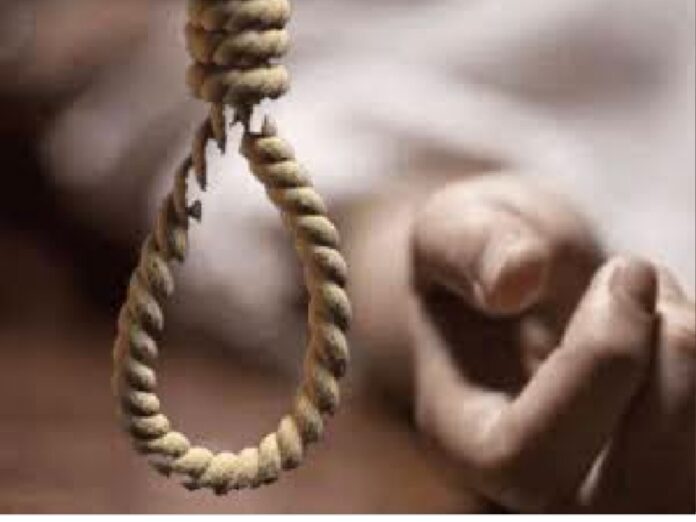 1a8c06c7-c3bb-4e14-9904-03bcc8cd