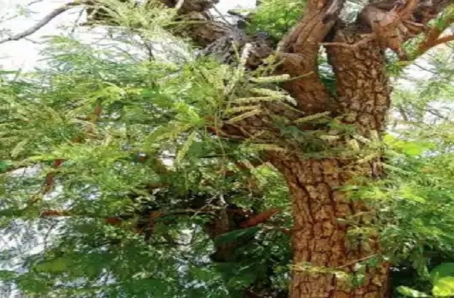 2023_4image_17_43_512350864f