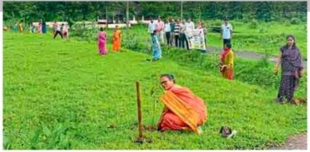 2535b8b5-3ab0-45a8-9789-af1c03c18d68