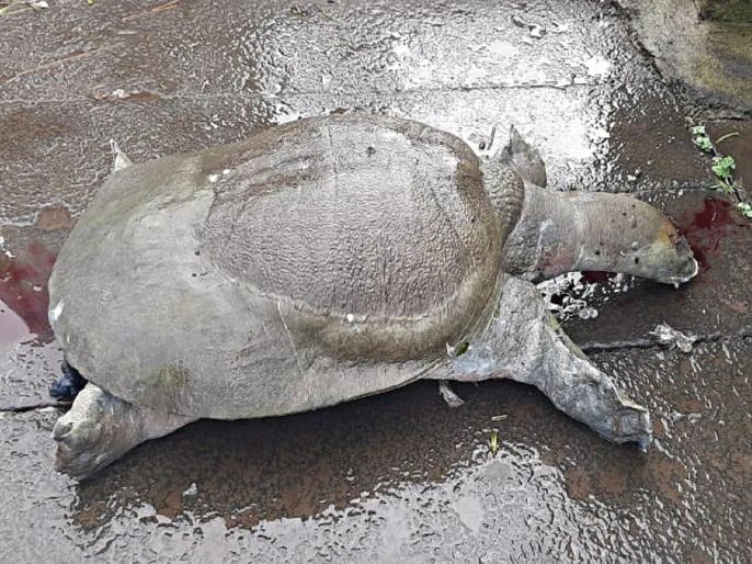 56bc0e6aa5e8f131208866bbd08356bb