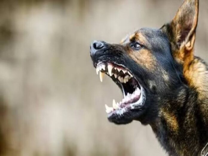 589d66e5b4fe6081371e4a997b2cb58d