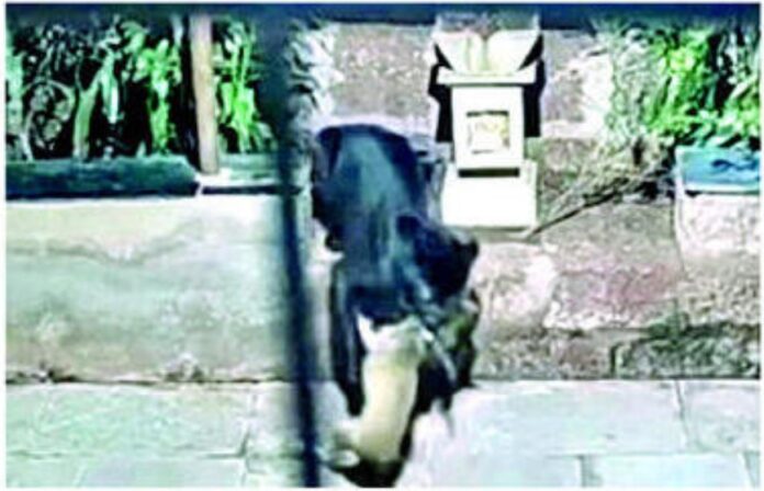 88b78e13-994a-4966-a00d-34069b31c55c