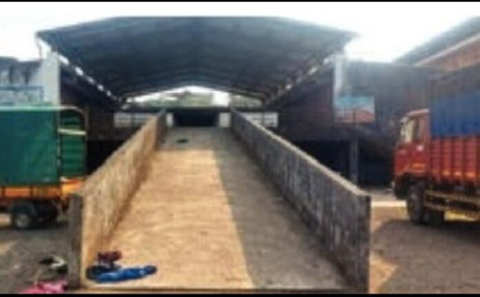 8b5a9044-2999-4b55-9a92-34a55f9d8f08