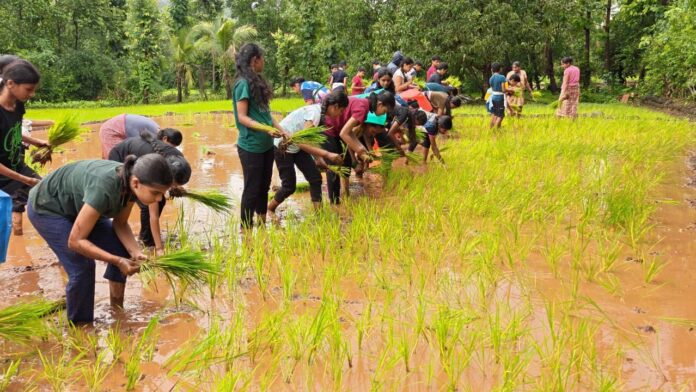 9f84826f41543caa1158ec66ab3eb36a