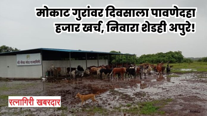 Untitled - 2025-07-04T130824.025