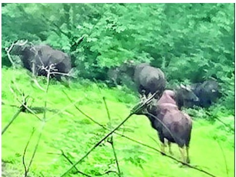 c4c081be-fe2f-4cd2-ad2f-1ff0a3681c26