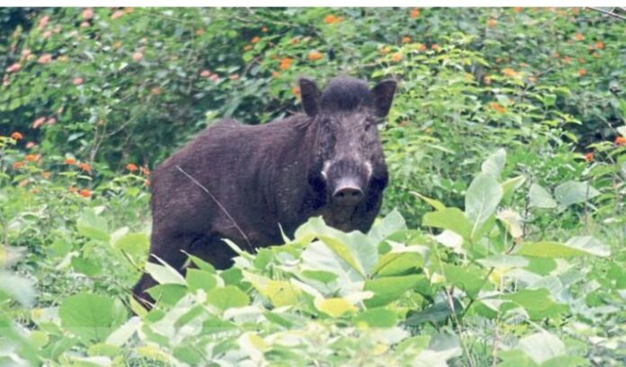 c81d3e81-1893-4930-a697-7925abff8b5c