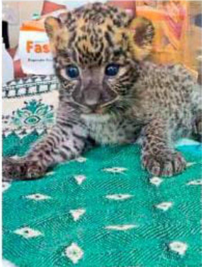 da9497e7-0989-4423-a4ed-2397725032c3