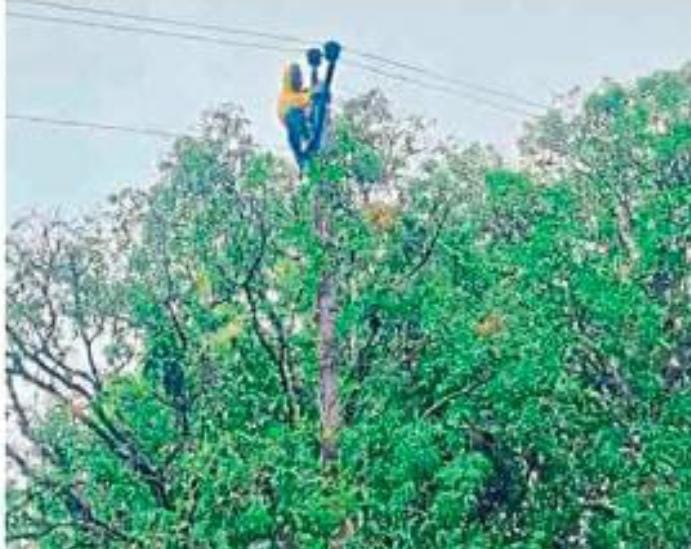 daeae6fd-f0f5-4ed2-86c1-9b012fb4f4f7