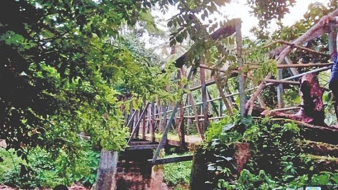 pudharinews2025-07-20ehm9u3ce20r