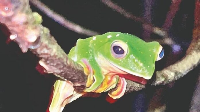 pudharinews2025-07-20lk5zsknb20s