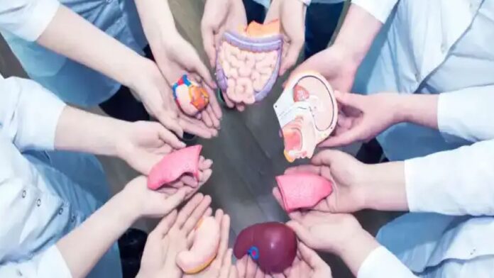 wVNUfGWTcd4Ha4akOu3qJYpNI3jJ496r