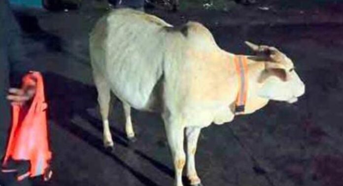 156784da-3e50-4384-bdb1-2616a0d3279e