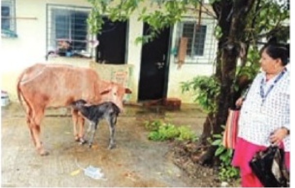 1e631dee-977b-4fa2-92a6-77fabfca2fb2