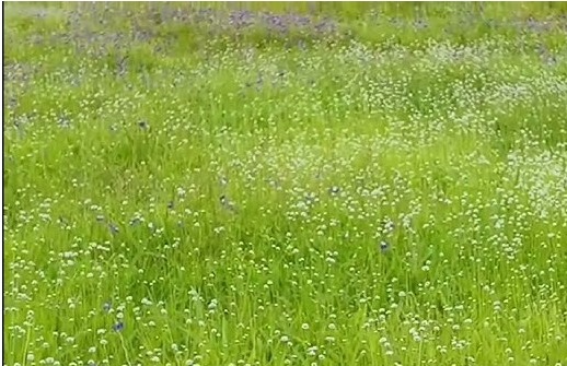 6fd823aa-df4b-4fe9-9461-383f630550d2