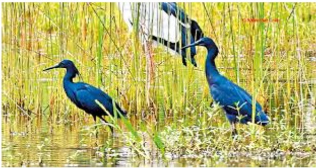 8eced1b1-95b0-4808-b0cd-6d50b0e3795d