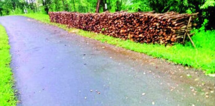 c3b2b318-0e2c-4bac-970d-c844c4b3d615