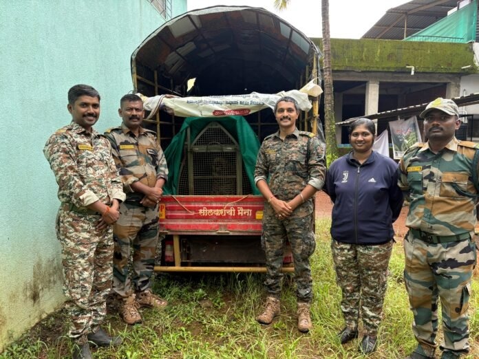 image_editor_output_image-126252