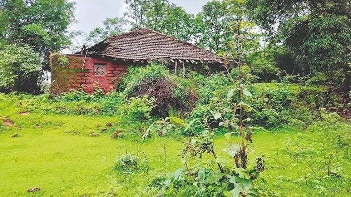 pudharinews2025-08-02umwms4dk1rp