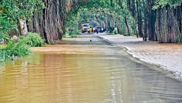 pudharinews2025-08-20oxx6233c9