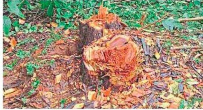 03c5bca5-8325-48a2-ac55-8a685abe4059