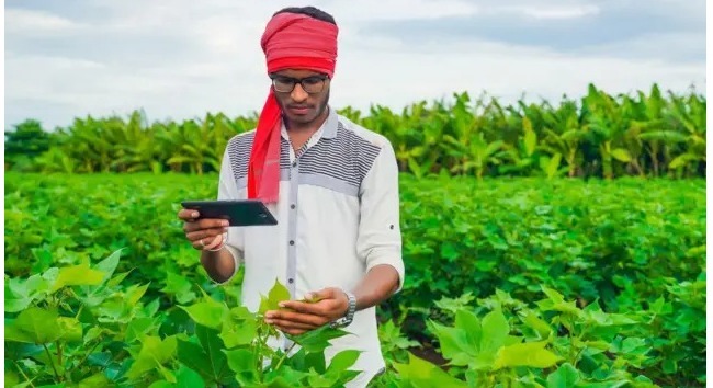 2232f812-6a99-4a07-bb51-f864d867b180