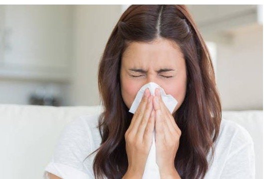 59a90c44-c100-4944-b433-a998ec801106