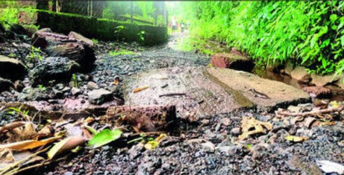 82251bff-ac39-4333-a71b-17fa3bd8fe3d