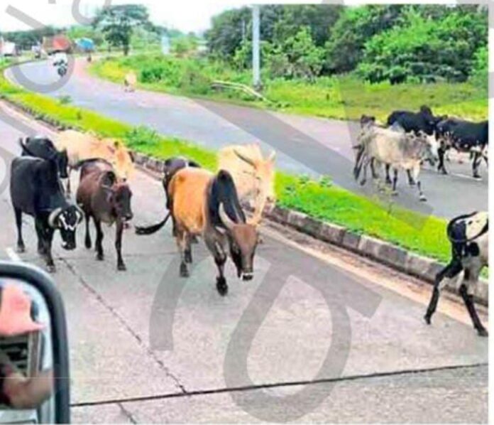 e2e1e383-3859-4ca7-be17-12e6df5f6a38