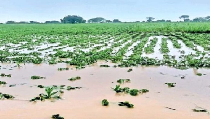 pudhariimportwp-contentuploads20 (50)