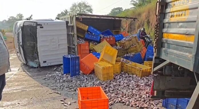 pudharinews2025-10-204gdbqxt4643