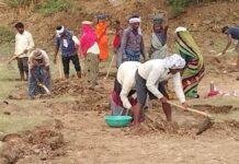 MNRGA Scheme : ‘मनरेगा’त 300 कोटींचा भ्रष्टाचार