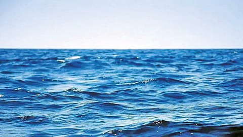 pudharinews2024-10-13e4oixtx32