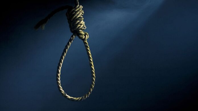 दिवाळीची खरेदी होईल खास, कारण पैठणीचा मान मिळेल फक्त ४९९ रुपयांस! (5)