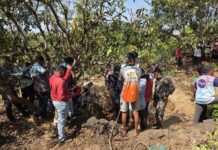 थरार! वासराचा पाठलाग करताना ‘ब्लॅक पँथर’ विहिरीत कोसळला; कोळंबे परिसरात वन विभागाकडून रेस्क्यू ऑपरेशन सुरू