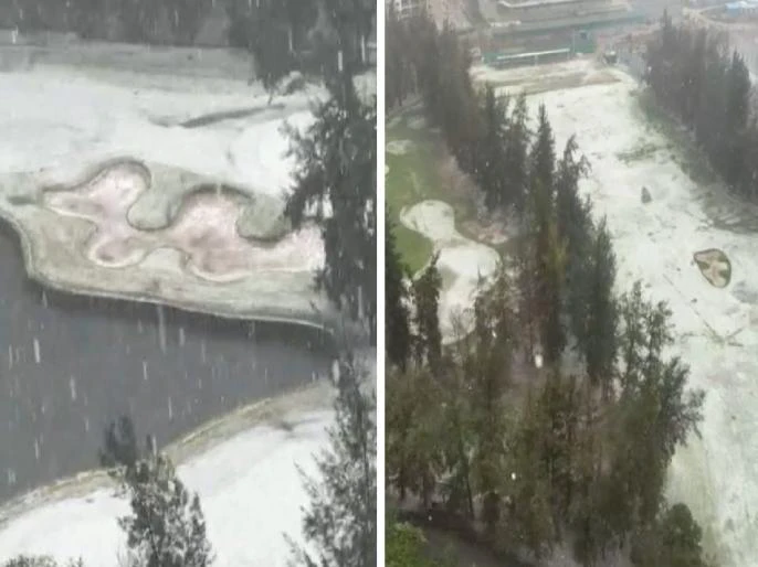 8a7d1d86d5e143ebc7641c2a108b6839b7eada1516cef48d85fc29d60196a219