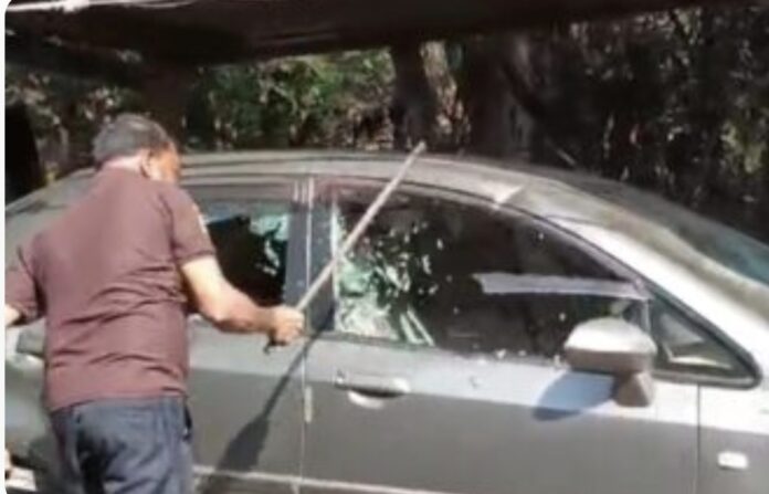 image_editor_output_image1473954913-1774241505874