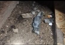 Ratnagiri: भाट्ये येथील जुन्या पुलाचे तातडीने स्ट्रक्चरल ऑडिट करण्याची मागणी