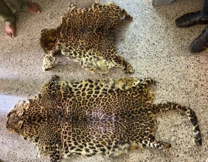 image_editor_output_image692070270-1774928092286