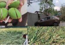 Maharashtra Unseasonal Rain: महाराष्ट्रात अवकाळीचा तडाखा, बळीराजा संकटात; पुढचे 48 तास धोक्याचे, ‘या’ 16 जिल्ह्यांना अलर्ट