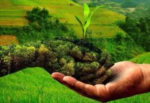 दापोलीत ‘नैसर्गिक शेती’ कार्यशाळा; कोकणातील १२५० हून अधिक शेतकऱ्यांची उपस्थिती