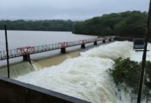 कोल्हापूर: राधानगरी जलाशयाला मिळणार ‘रामसर’ दर्जा; वन विभागाला अहवाल सादर करण्याचे आदेश