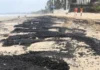 Tar Balls: कोकण आणि मुंबईच्या किनारपट्टीवर ‘टार बॉल्स’चे गंभीर संकट!