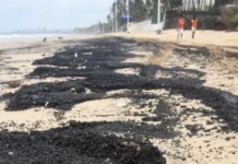 Tar Balls: कोकण आणि मुंबईच्या किनारपट्टीवर ‘टार बॉल्स’चे गंभीर संकट!